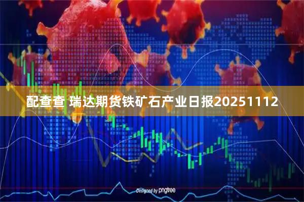 配查查 瑞达期货铁矿石产业日报20251112