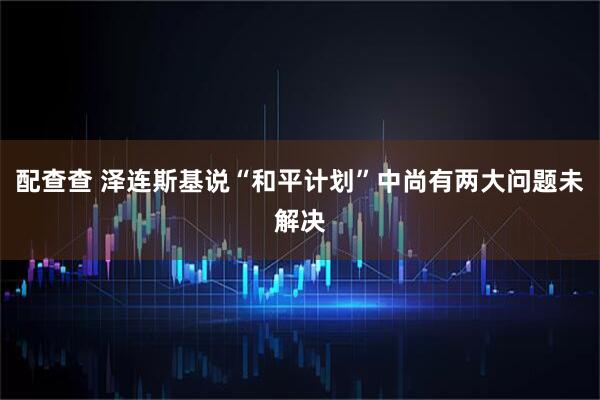 配查查 泽连斯基说“和平计划”中尚有两大问题未解决